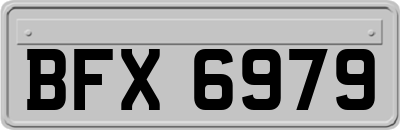BFX6979