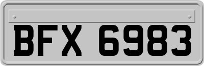 BFX6983