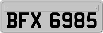 BFX6985