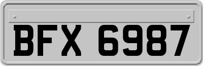 BFX6987