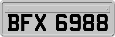 BFX6988