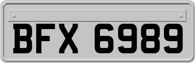 BFX6989