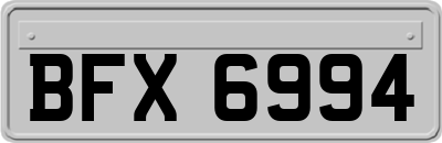BFX6994