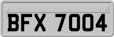 BFX7004