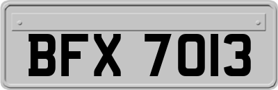 BFX7013