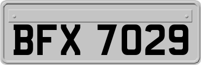 BFX7029