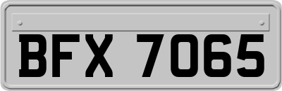 BFX7065