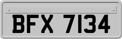 BFX7134