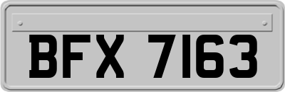 BFX7163