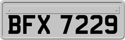 BFX7229