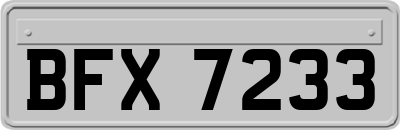BFX7233