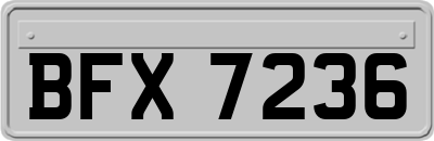 BFX7236