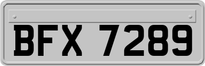BFX7289