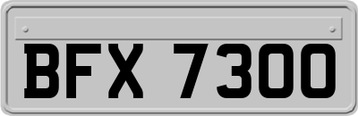 BFX7300