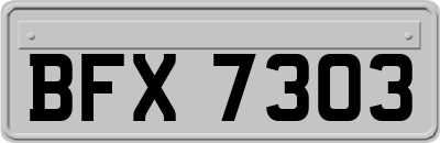 BFX7303