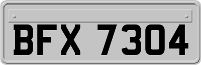 BFX7304
