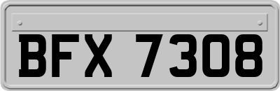 BFX7308