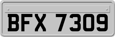 BFX7309