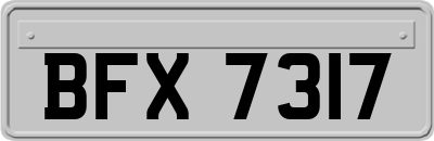 BFX7317