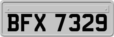 BFX7329