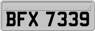 BFX7339