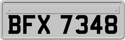 BFX7348