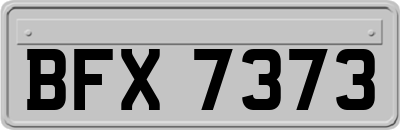 BFX7373
