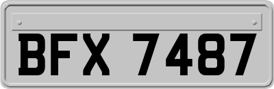BFX7487