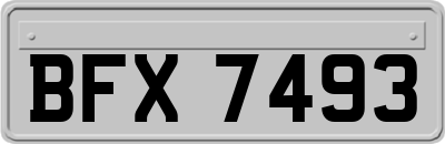 BFX7493