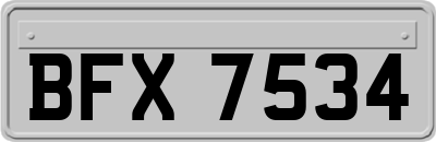BFX7534