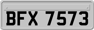 BFX7573