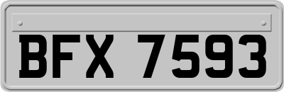 BFX7593