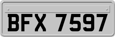 BFX7597