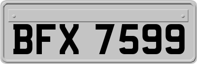 BFX7599