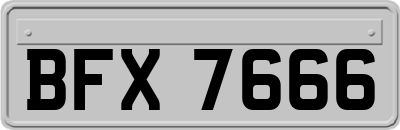BFX7666
