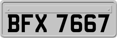 BFX7667