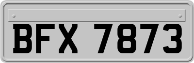 BFX7873