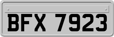BFX7923