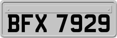 BFX7929