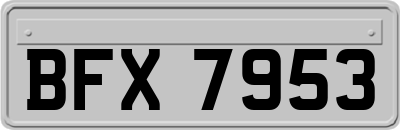 BFX7953