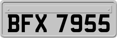 BFX7955