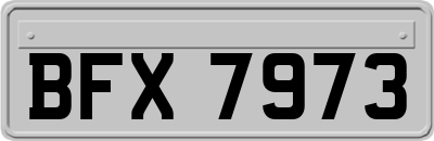 BFX7973