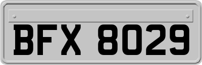 BFX8029