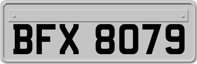BFX8079