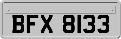 BFX8133