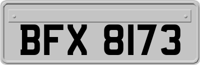BFX8173