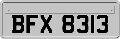 BFX8313