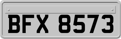 BFX8573