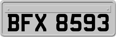 BFX8593
