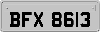 BFX8613